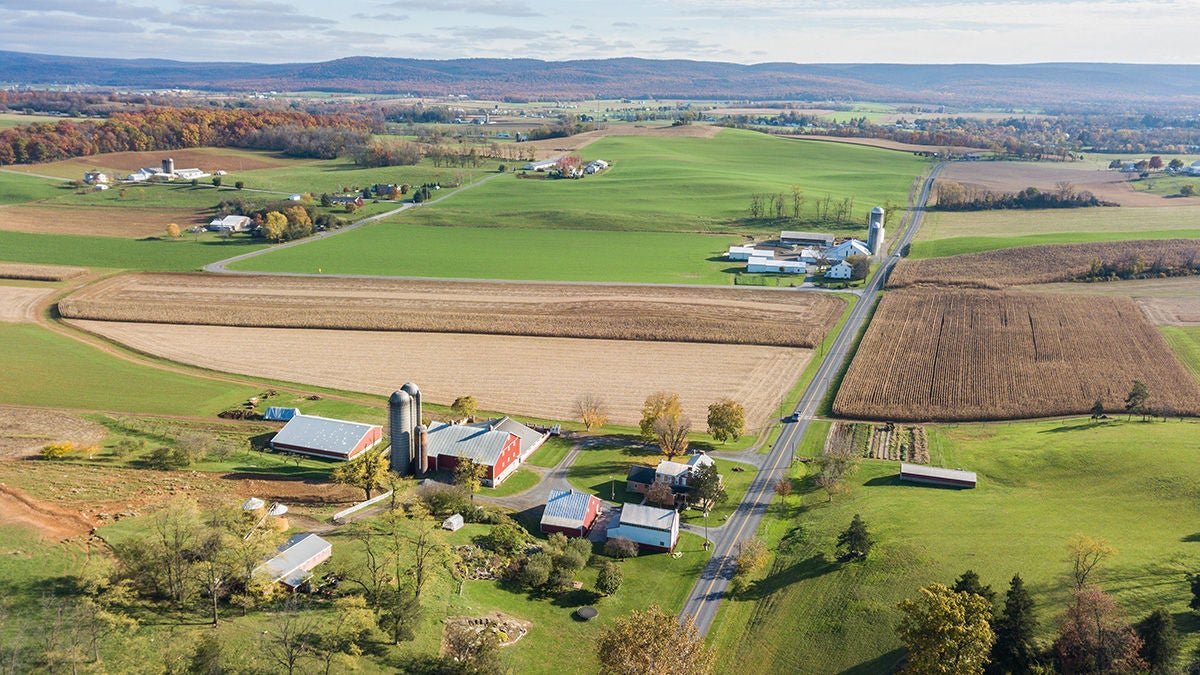 Aerial farmlands