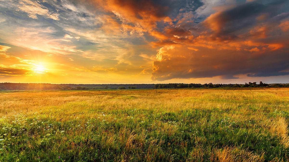 sunrise over rural field